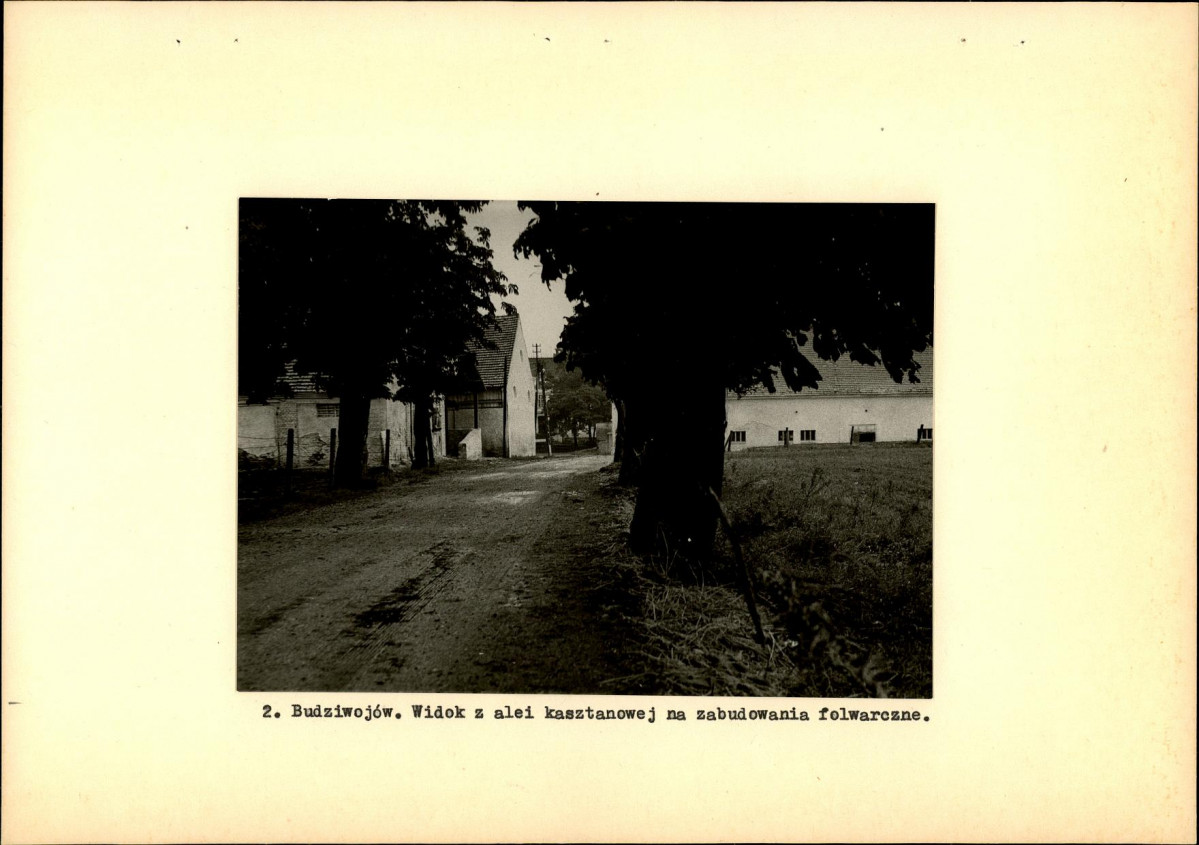 Ewidencja parkowa, skan nr 10