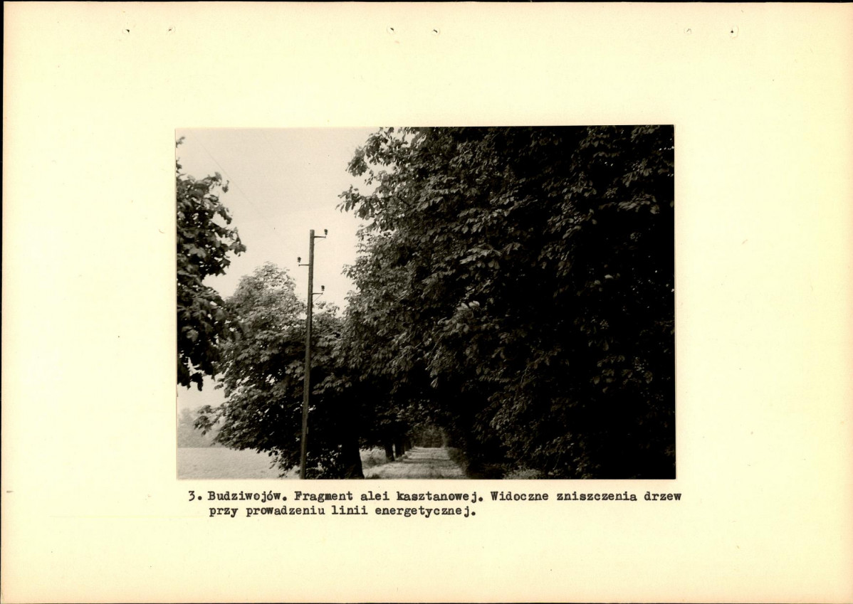 Ewidencja parkowa, skan nr 11