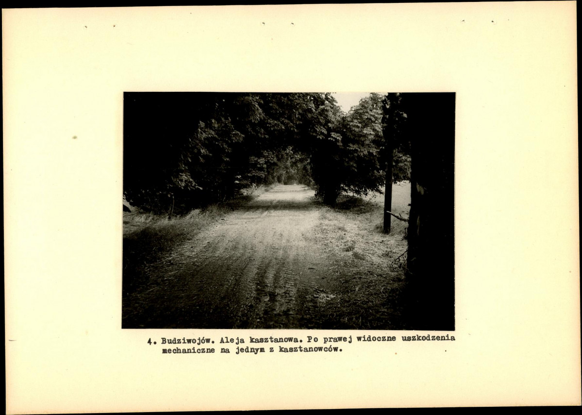 Ewidencja parkowa, skan nr 12