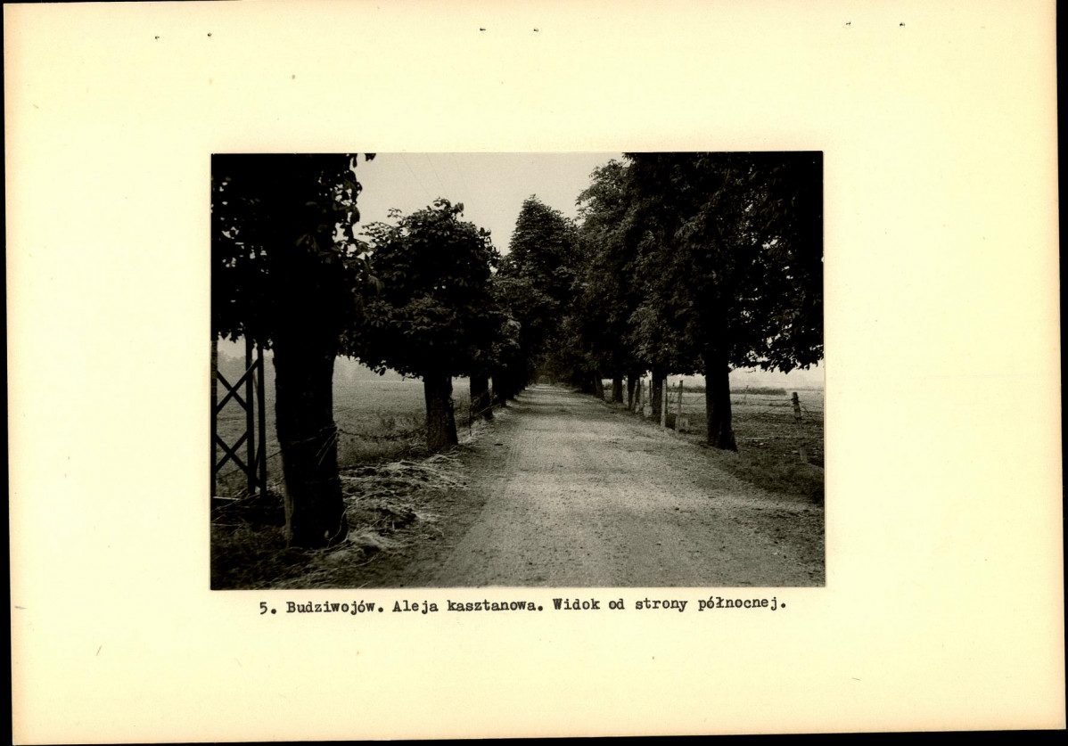 Ewidencja parkowa, skan nr 13