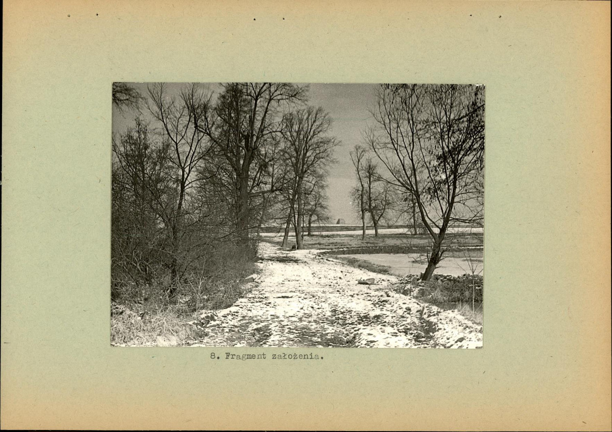 Ewidencja parkowa, skan nr 21