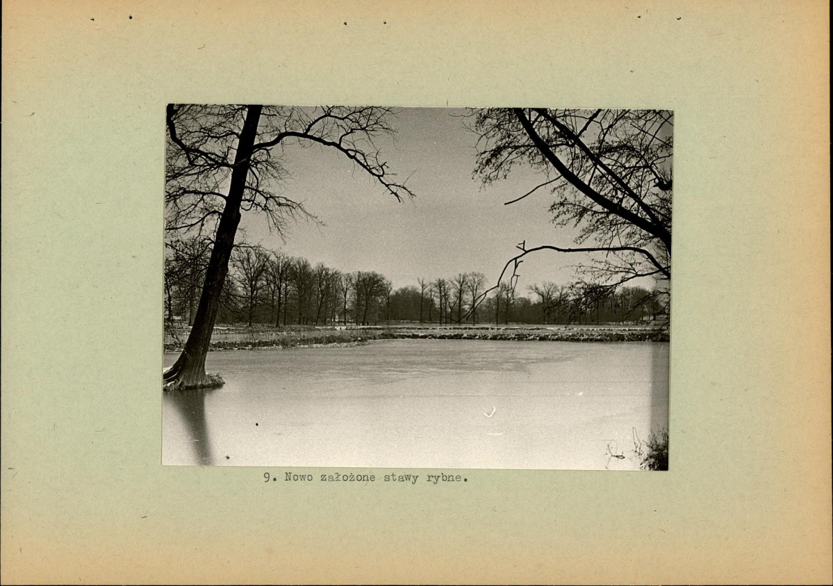 Ewidencja parkowa, skan nr 22