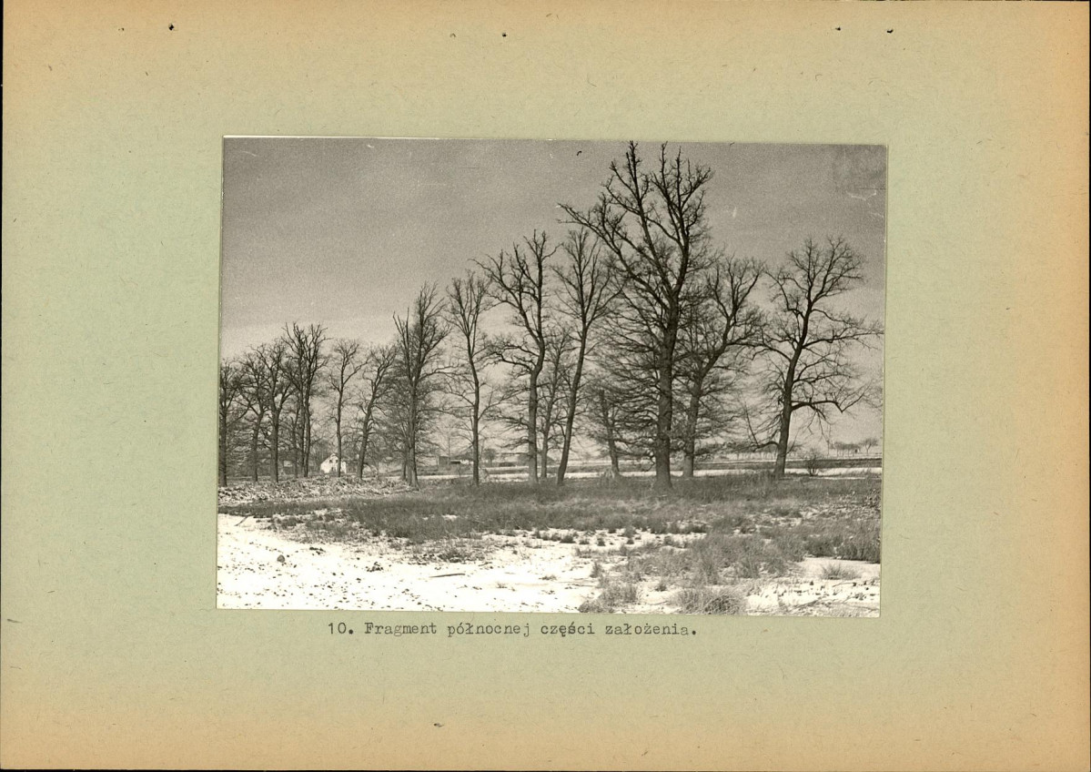 Ewidencja parkowa, skan nr 23