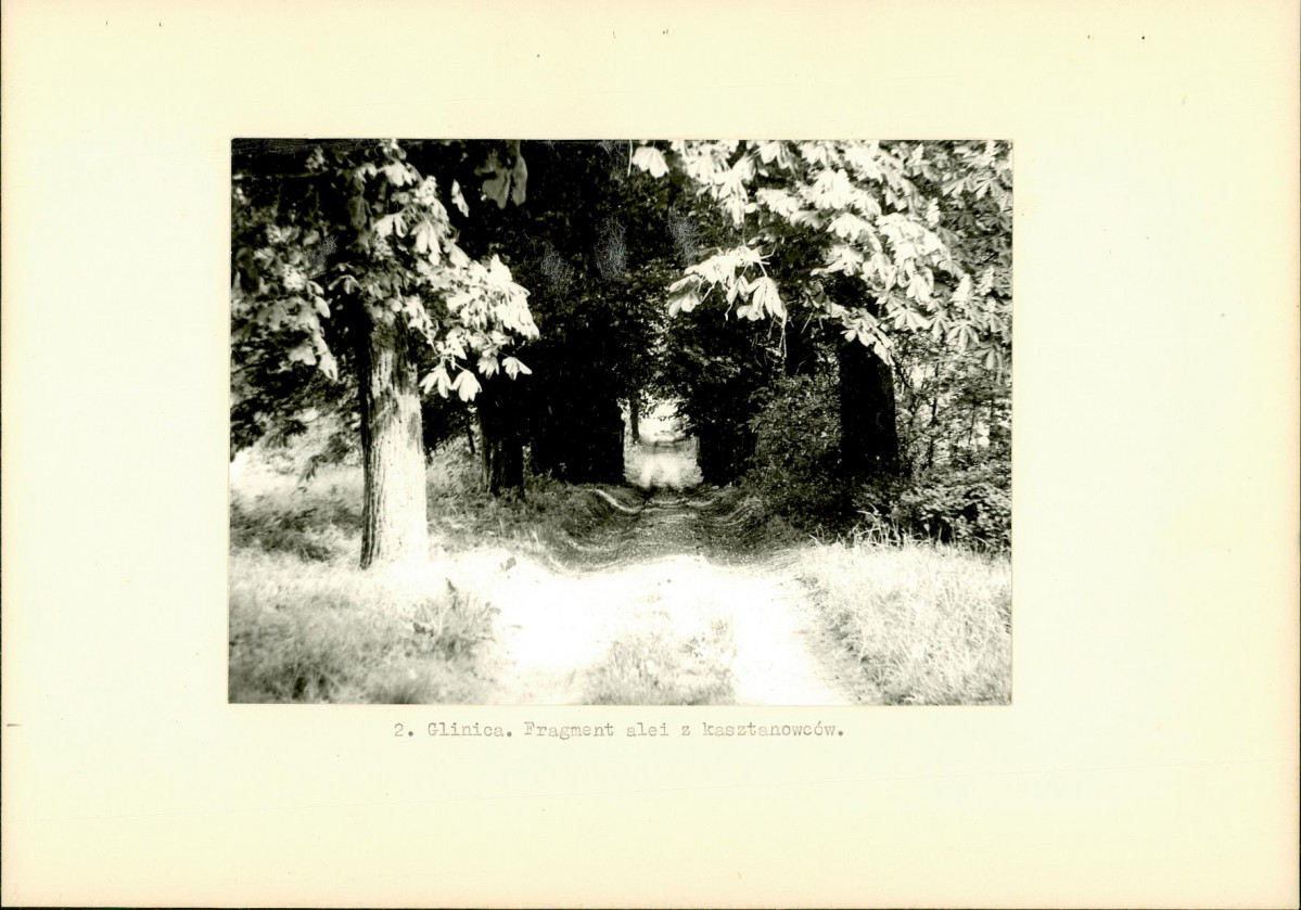 Ewidencja parkowa, skan nr 10