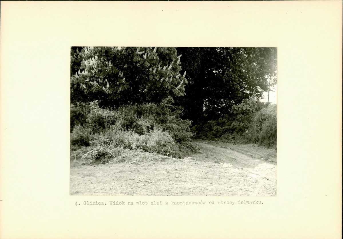 Ewidencja parkowa, skan nr 12