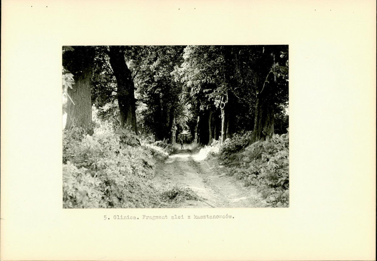 Ewidencja parkowa, skan nr 13