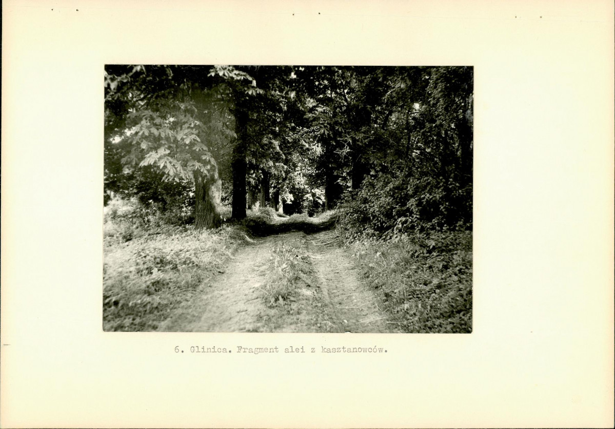 Ewidencja parkowa, skan nr 14