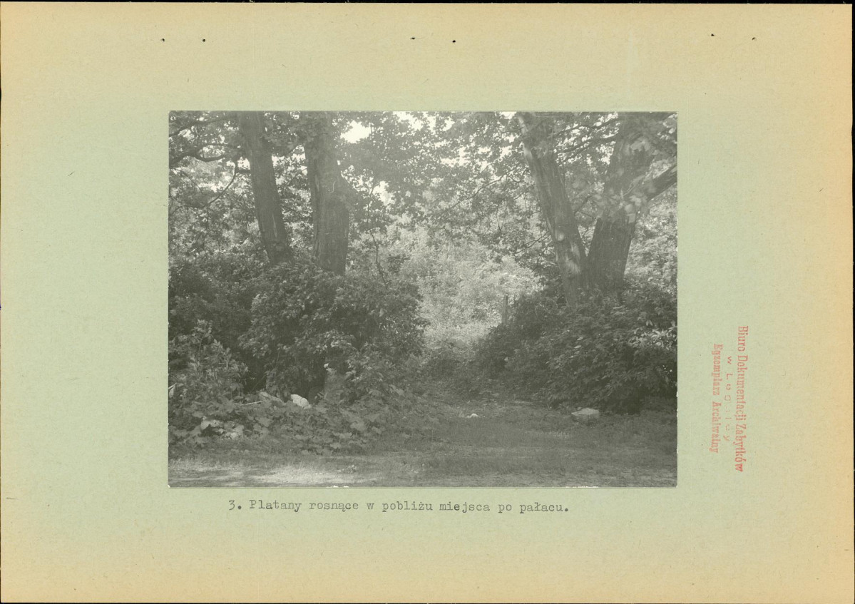 Ewidencja parkowa, skan nr 14