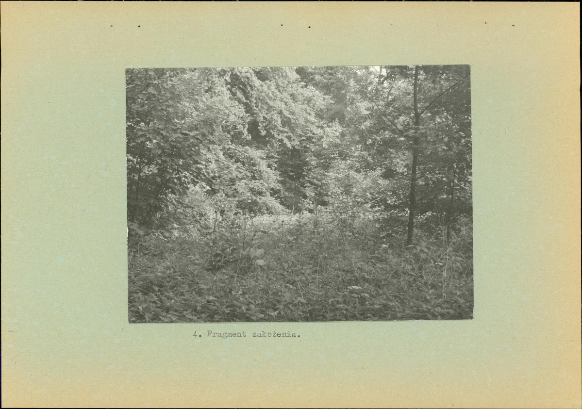 Ewidencja parkowa, skan nr 15