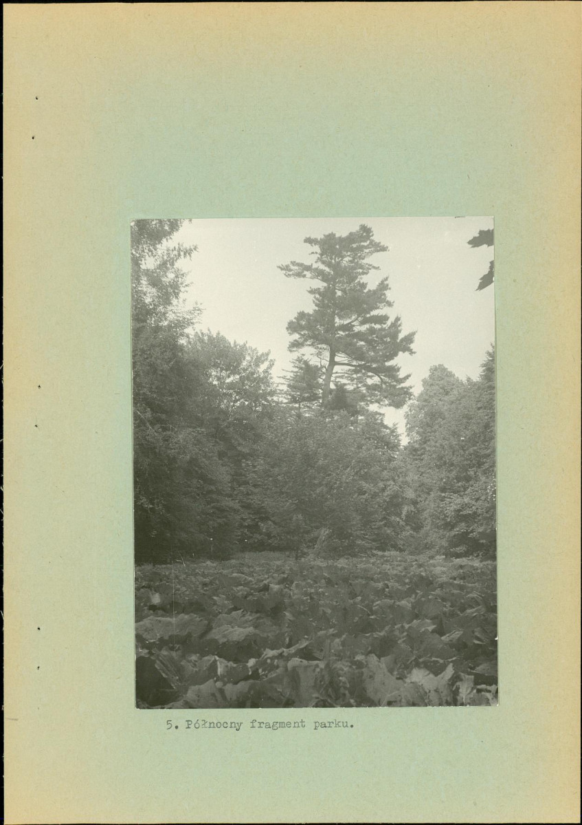 Ewidencja parkowa, skan nr 16