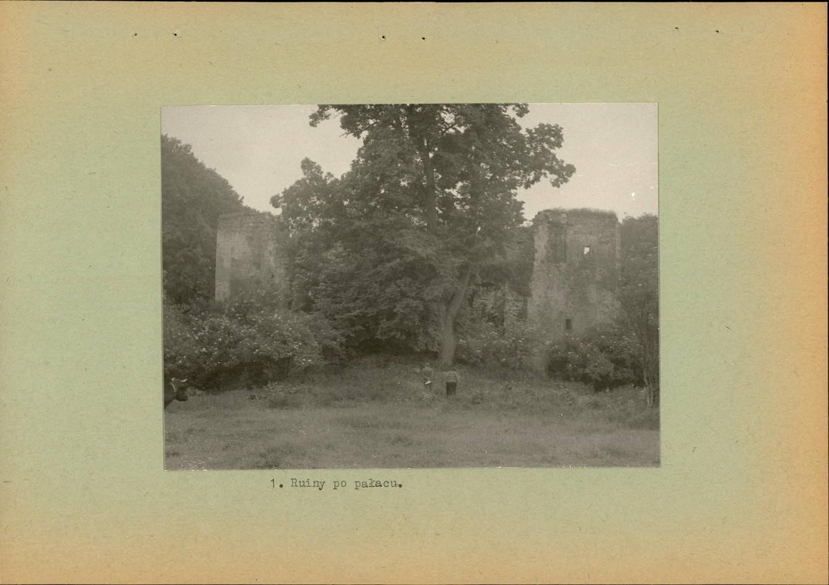 Ewidencja parkowa, skan nr 11