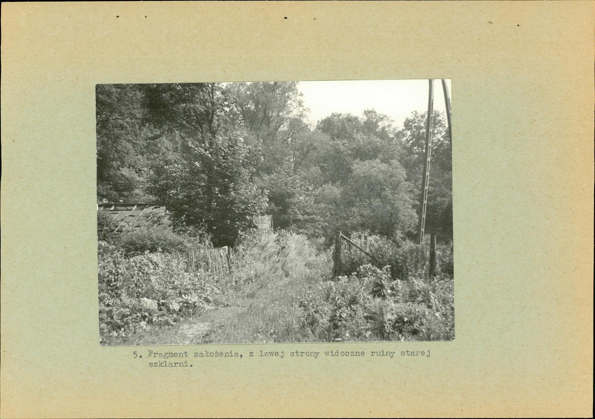 EP - Ewidencja parkowa, skan nr 17