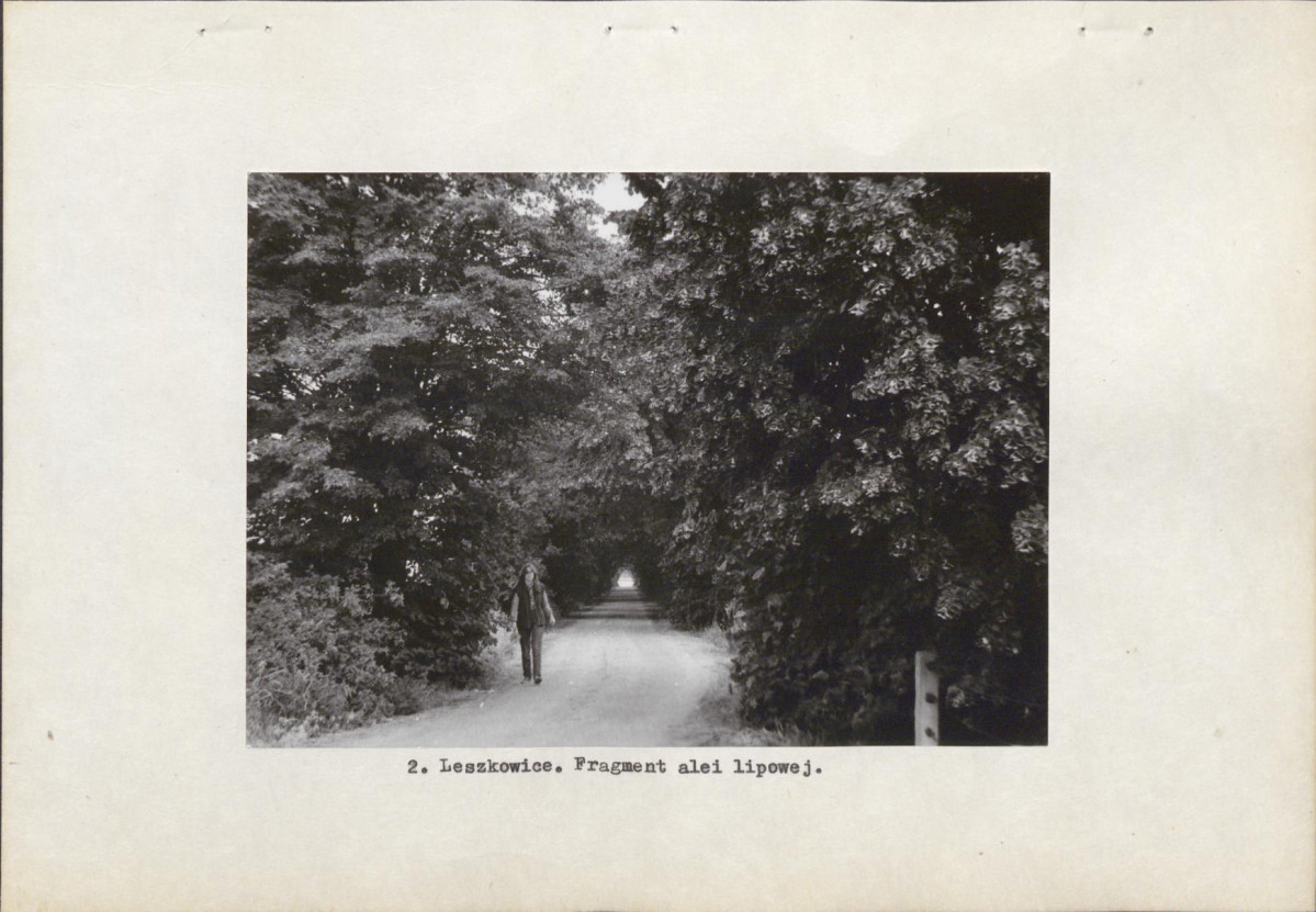 Ewidencja parkowa, skan nr 10