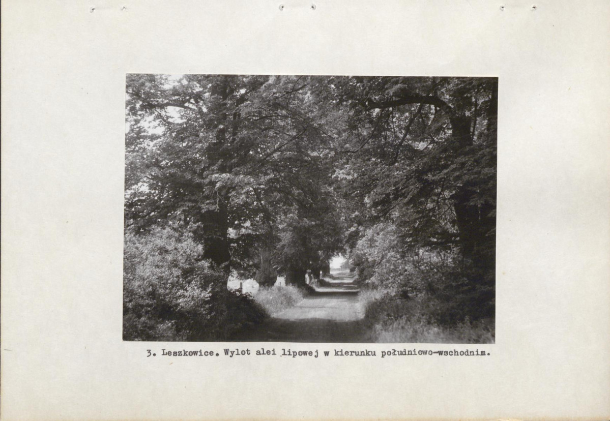 Ewidencja parkowa, skan nr 11