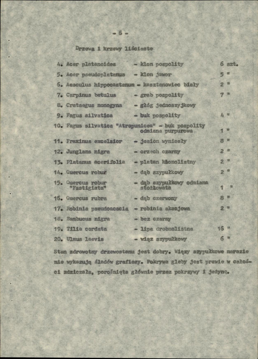 EP - Ewidencja parkowa, skan nr 13