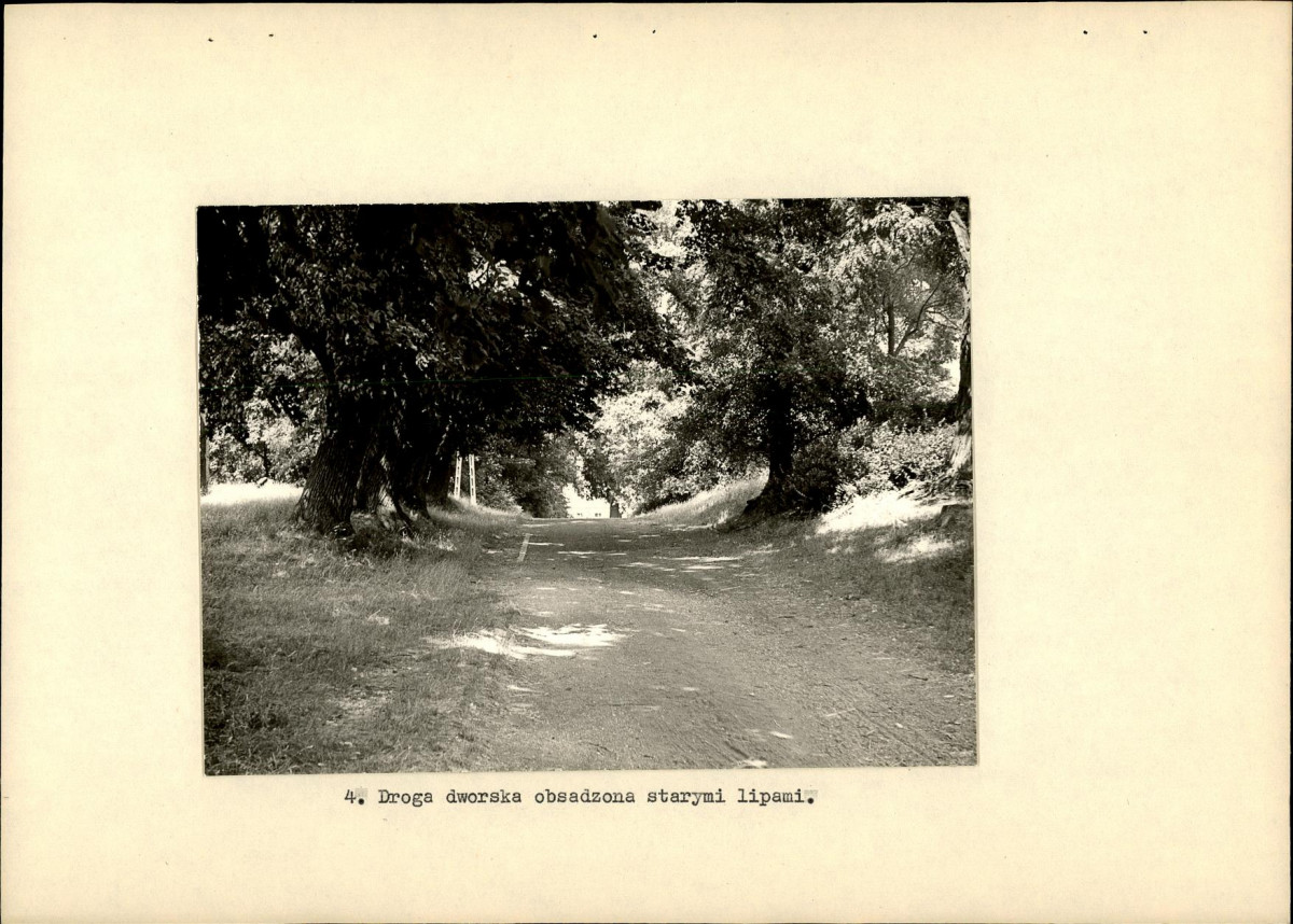 EP - Ewidencja parkowa, skan nr 19