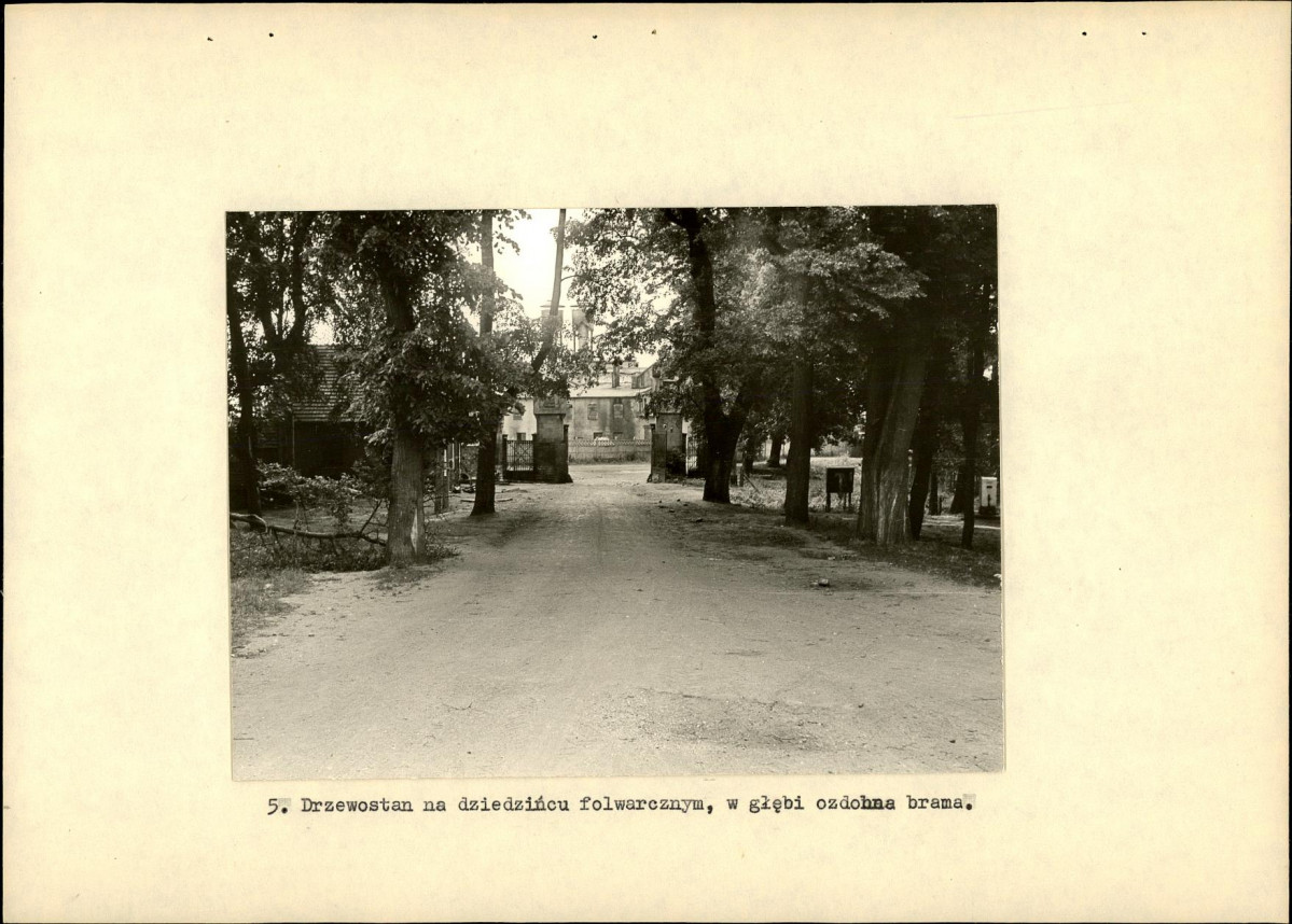 EP - Ewidencja parkowa, skan nr 20