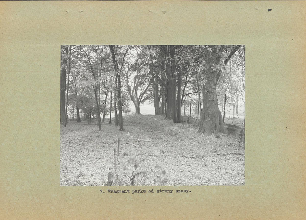 Ewidencja parkowa, skan nr 13