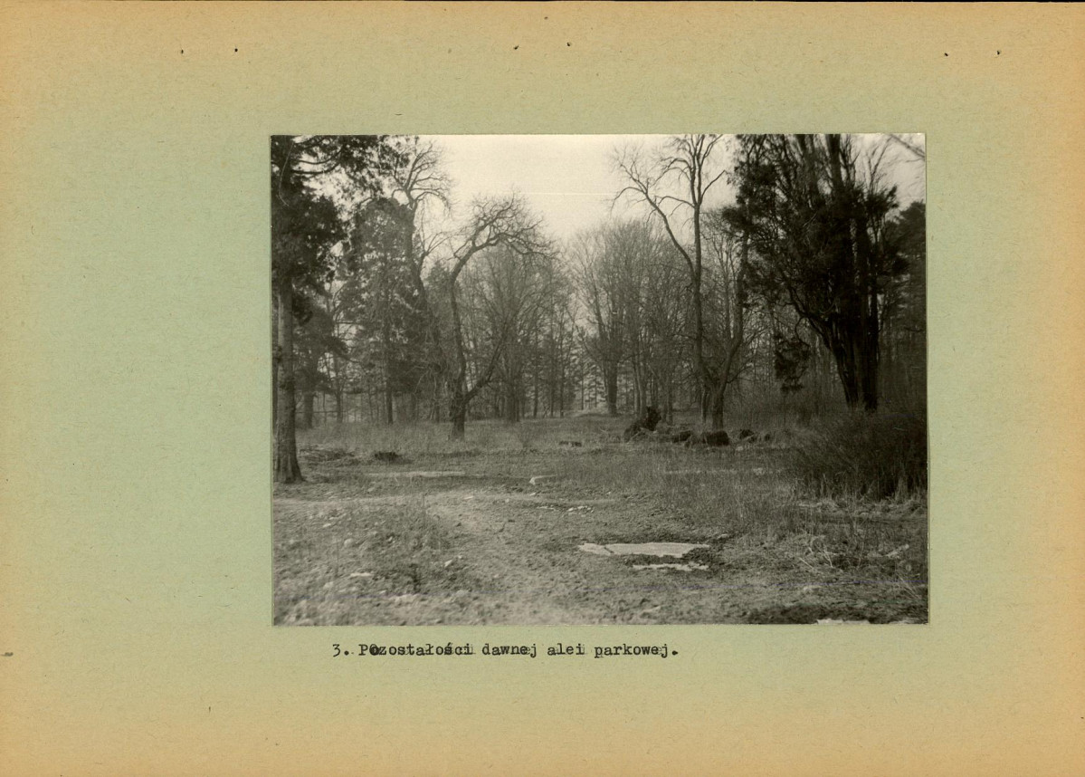 Ewidencja parkowa, skan nr 17