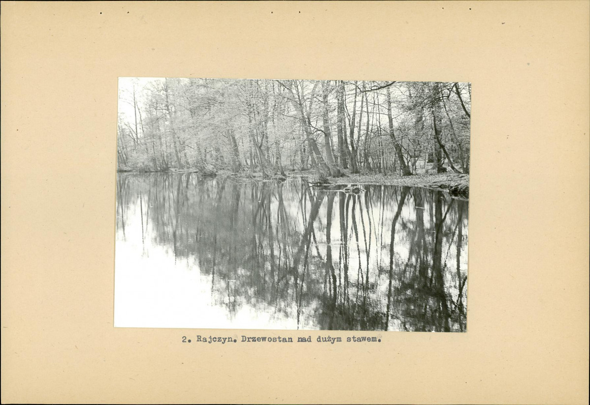 Ewidencja parkowa, skan nr 13