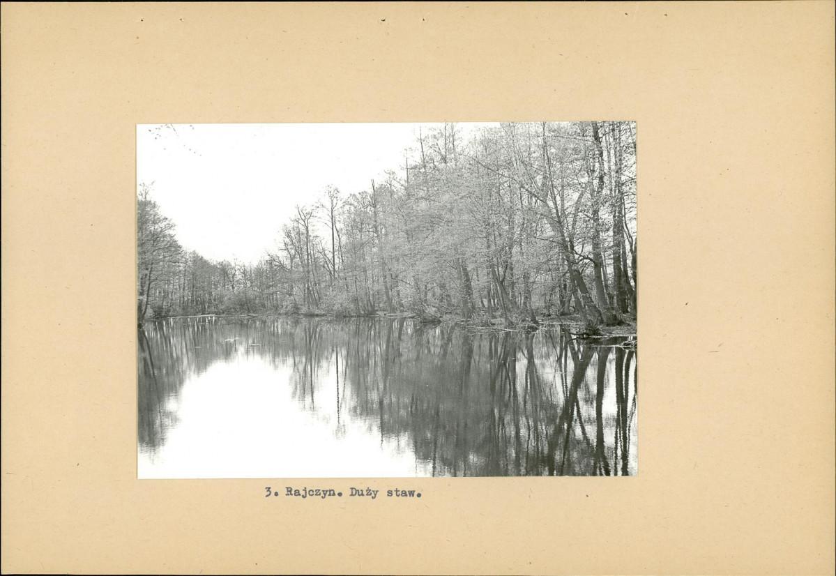 Ewidencja parkowa, skan nr 14