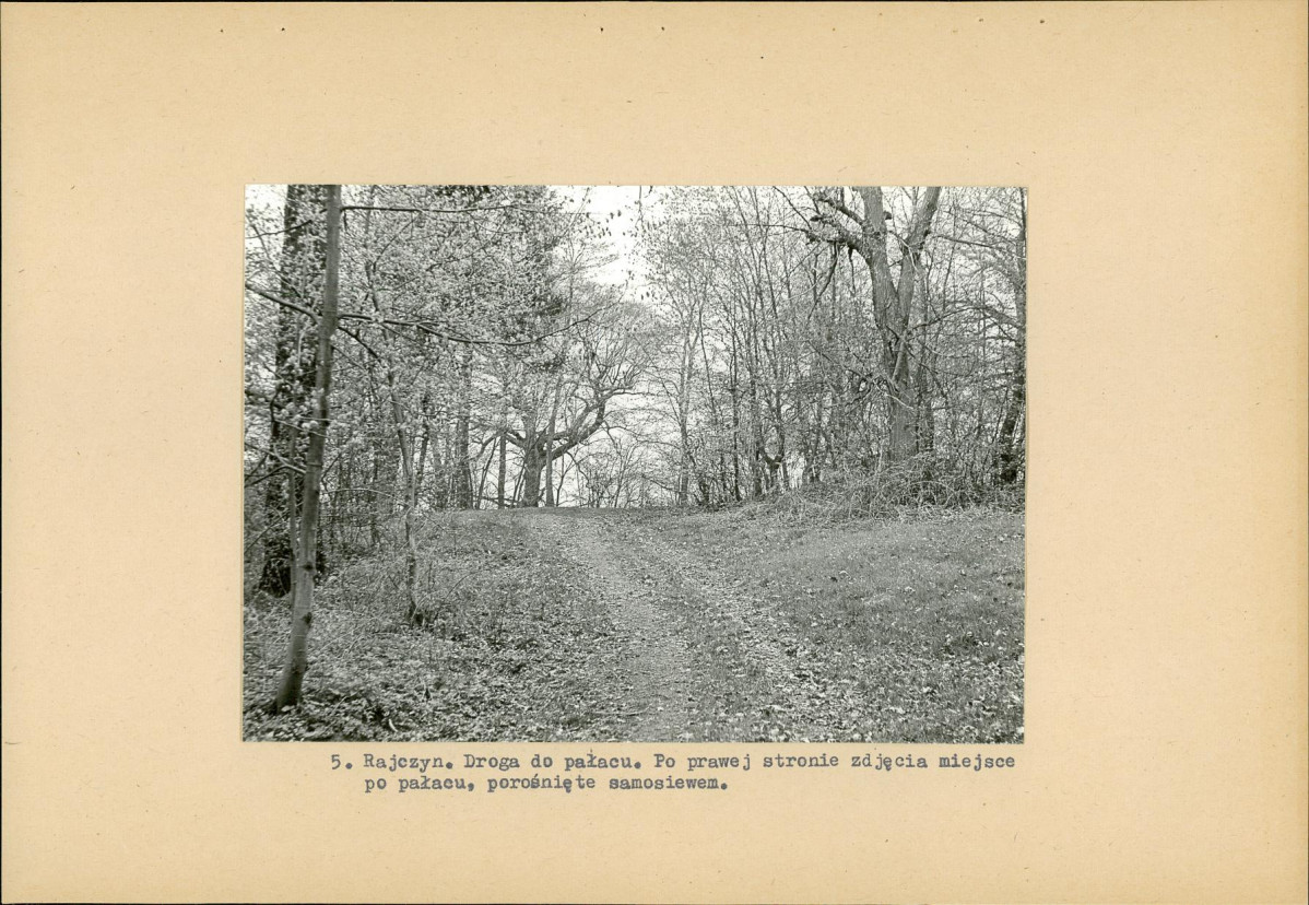 Ewidencja parkowa, skan nr 16