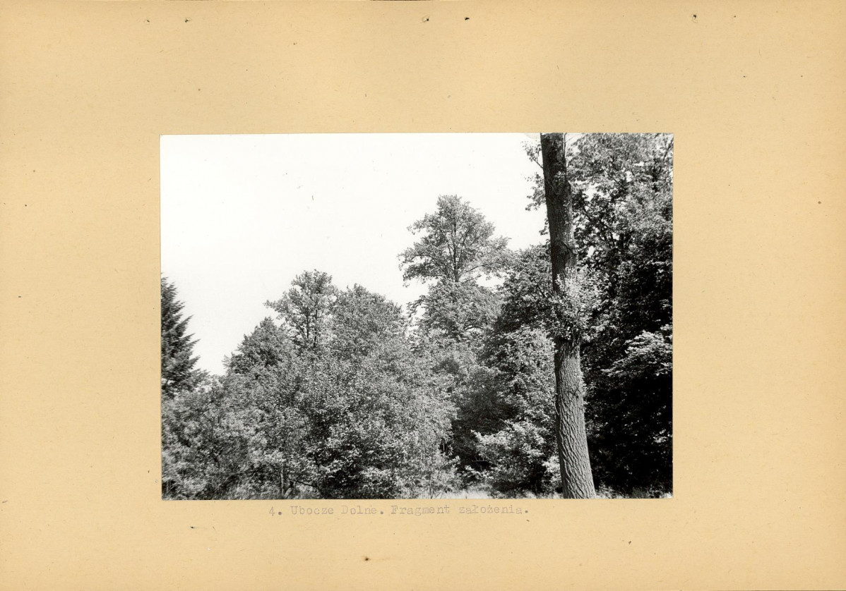 EP - Ewidencja parkowa, skan nr 17