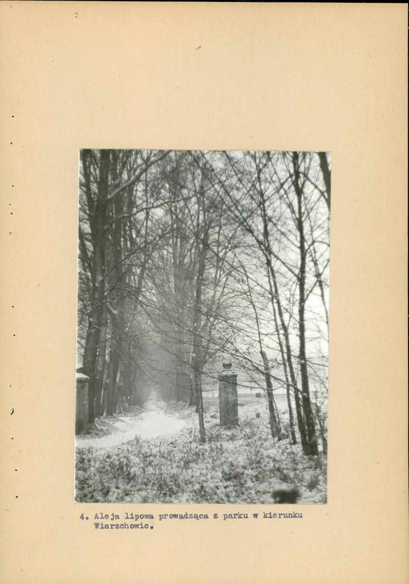 EP - Ewidencja parkowa, skan nr 20