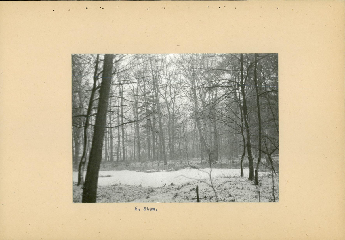 EP - Ewidencja parkowa, skan nr 22