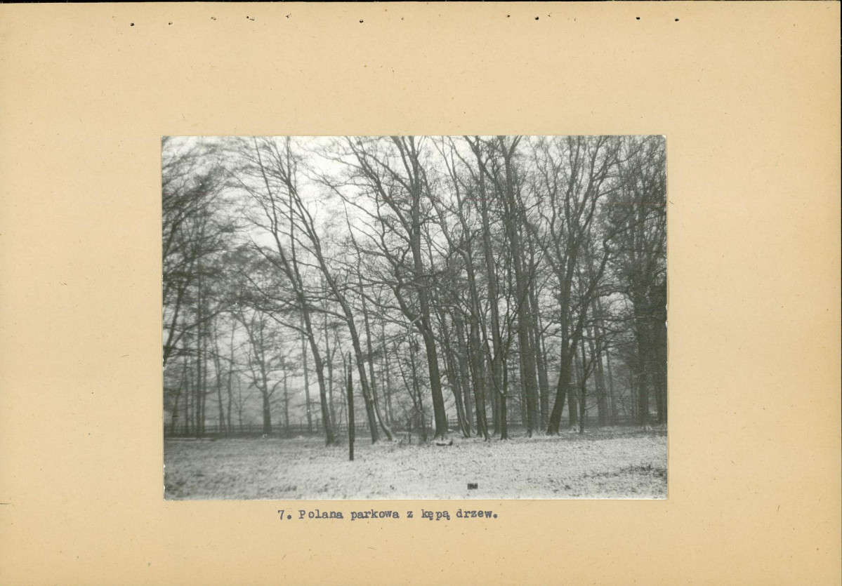 EP - Ewidencja parkowa, skan nr 23