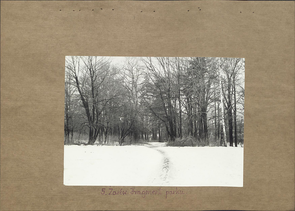 Ewidencja parkowa, skan nr 22