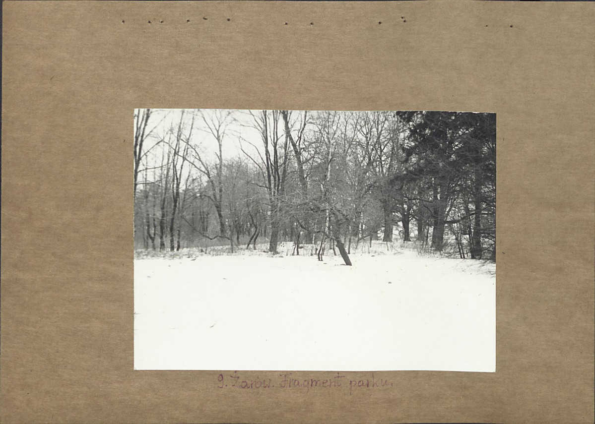 Ewidencja parkowa, skan nr 26