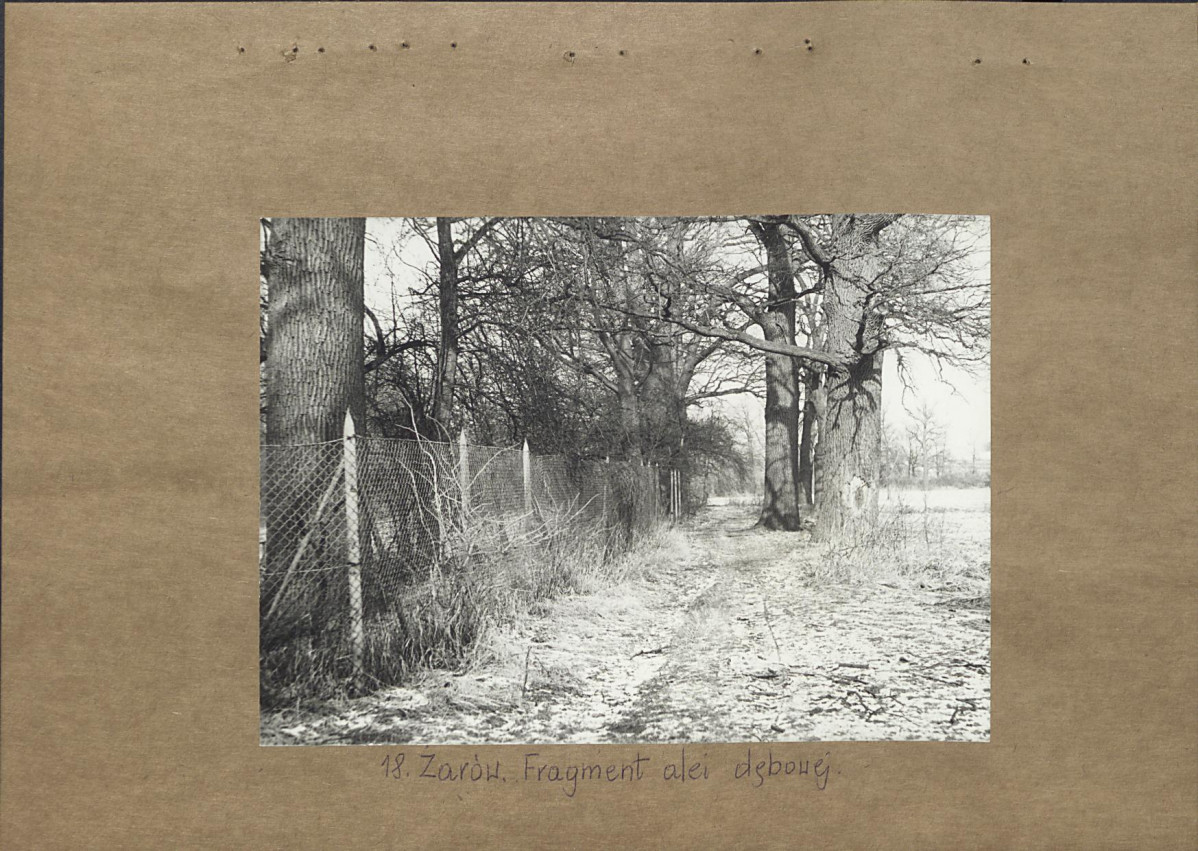 Ewidencja parkowa, skan nr 35