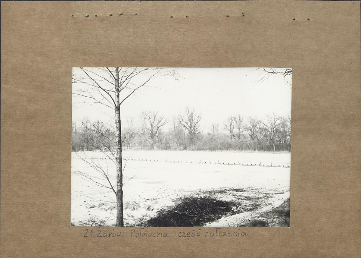 Ewidencja parkowa, skan nr 38