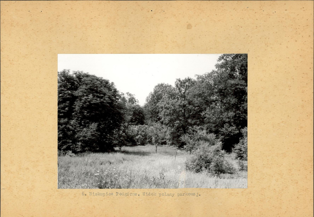 Ewidencja parkowa, skan nr 21