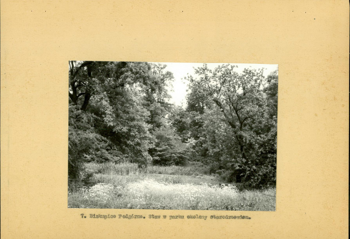 Ewidencja parkowa, skan nr 22