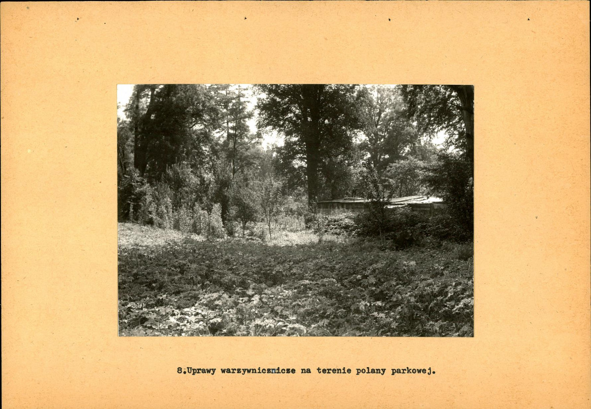 EP - Ewidencja parkowa, skan nr 31