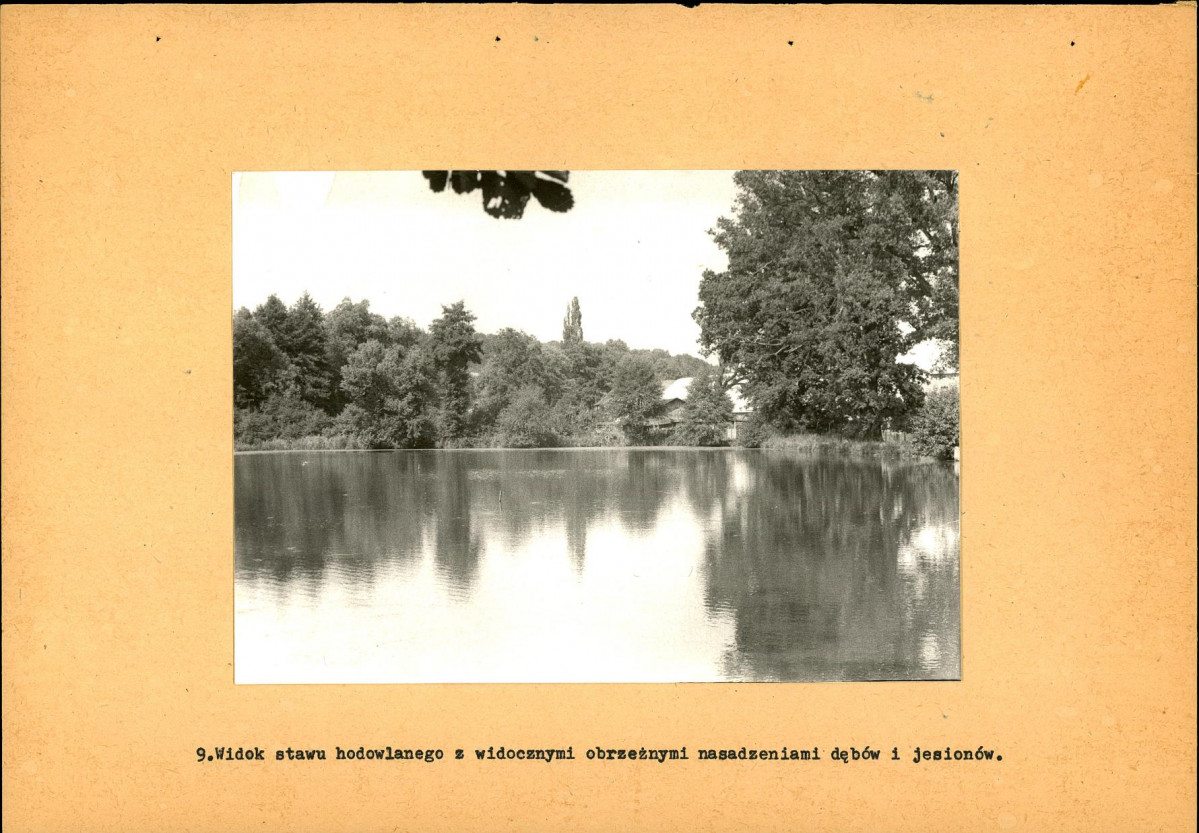 EP - Ewidencja parkowa, skan nr 32