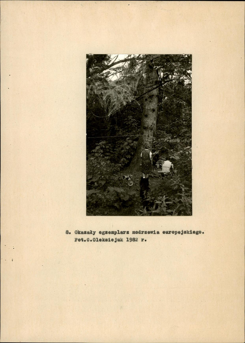 EP - Ewidencja parkowa, skan nr 23