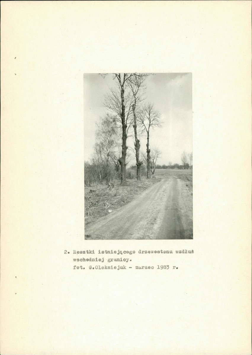 EP - Ewidencja parkowa, skan nr 17