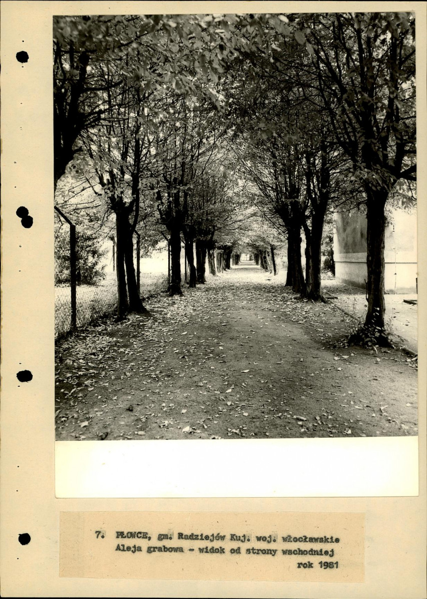 EP - Ewidencja parkowa, skan nr 33