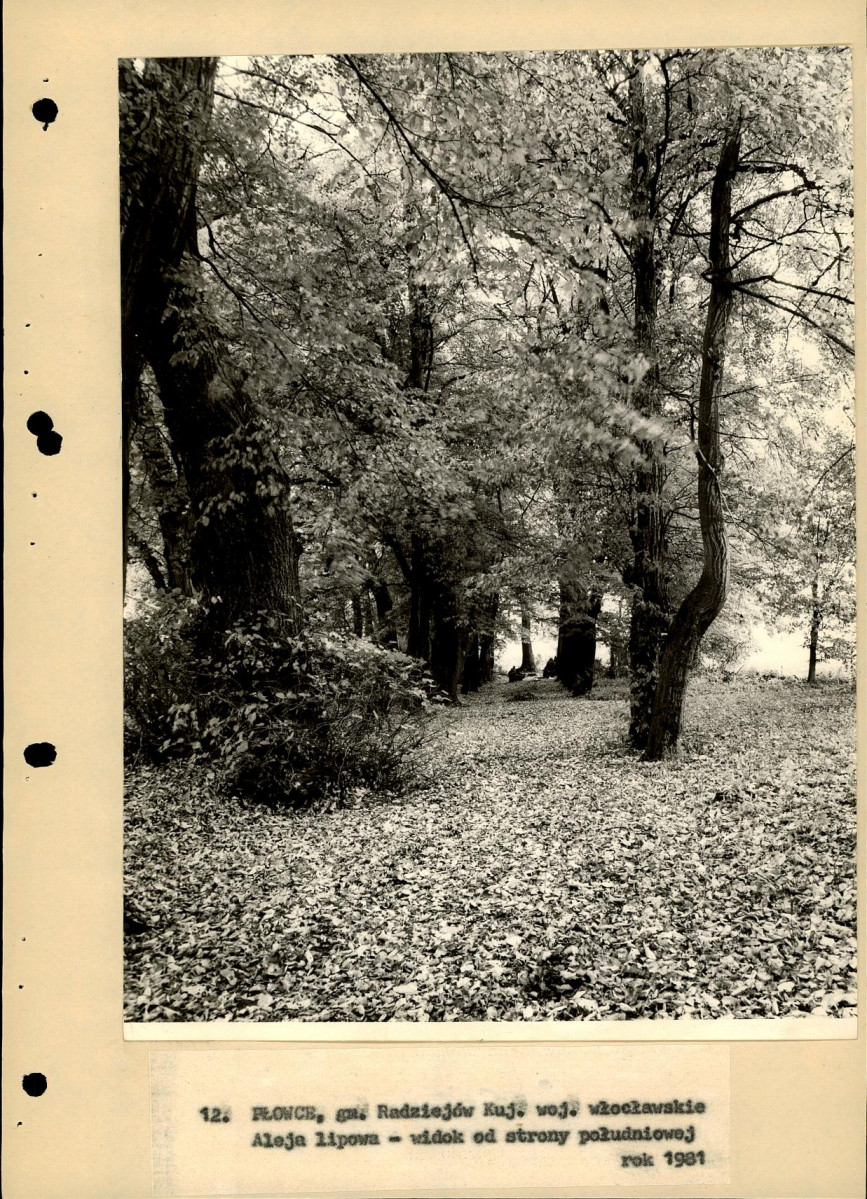 EP - Ewidencja parkowa, skan nr 38