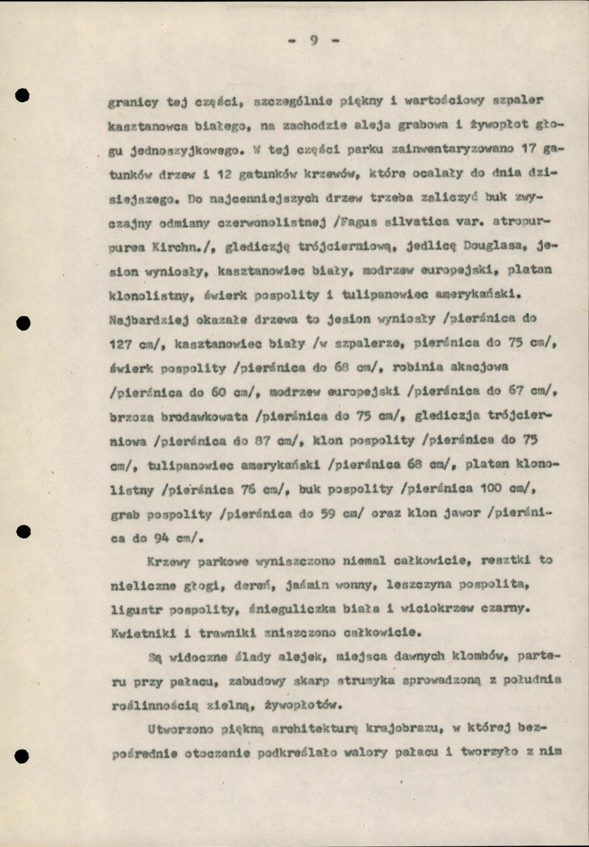 EP - Ewidencja parkowa, skan nr 13