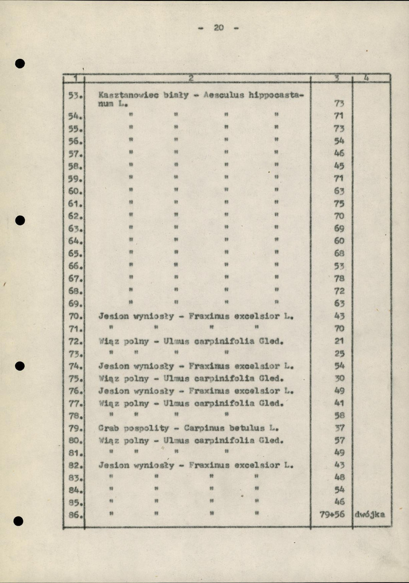 EP - Ewidencja parkowa, skan nr 25