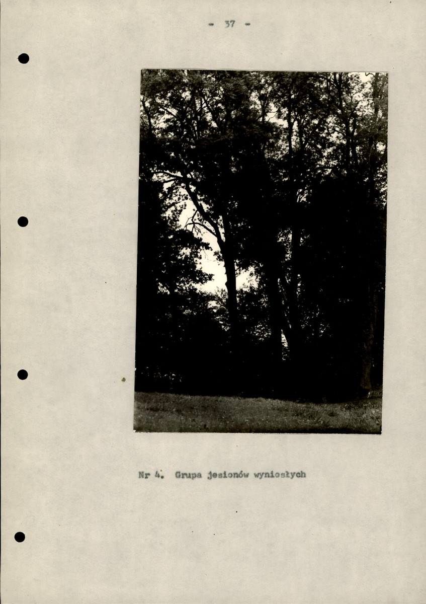 EP - Ewidencja parkowa, skan nr 42