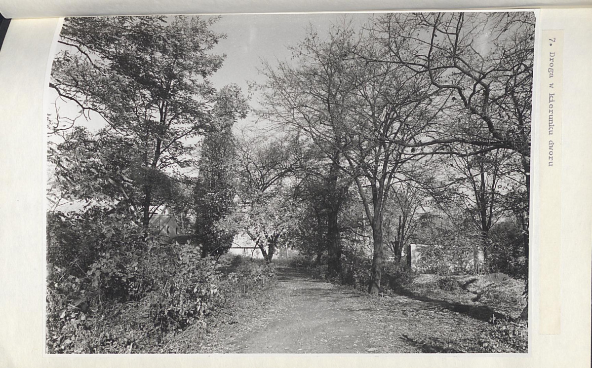 EP - Ewidencja parkowa, skan nr 37