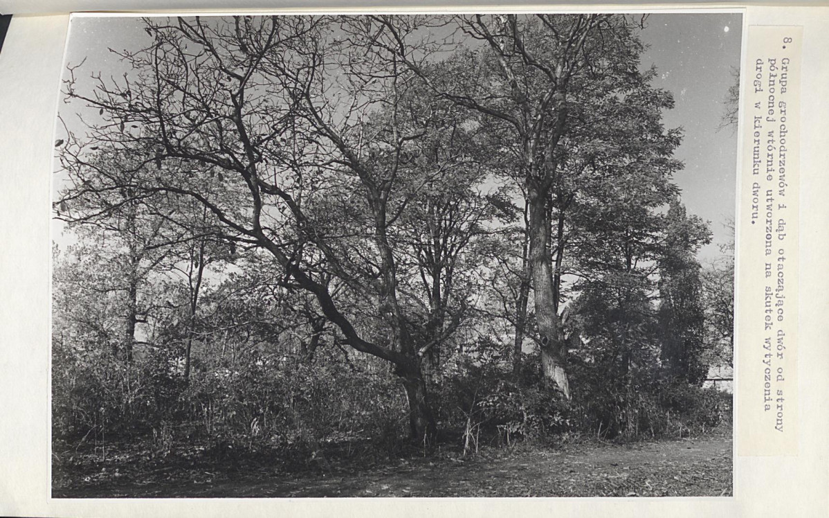 EP - Ewidencja parkowa, skan nr 38