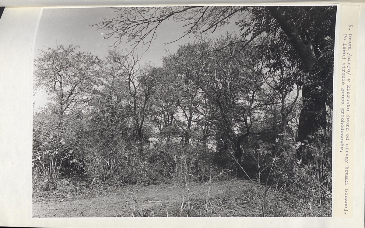 EP - Ewidencja parkowa, skan nr 39