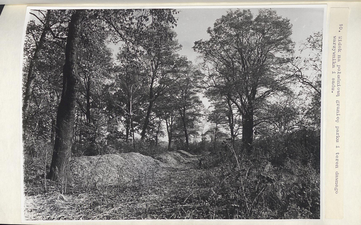 EP - Ewidencja parkowa, skan nr 40