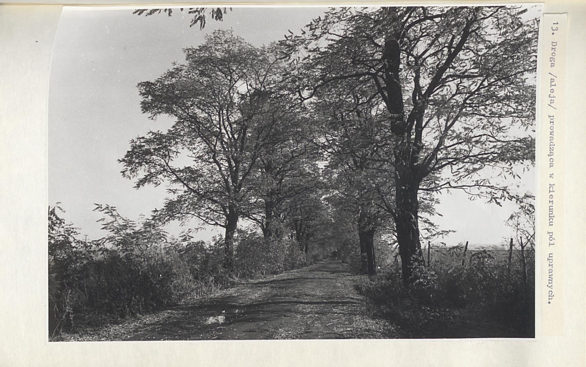 EP - Ewidencja parkowa, skan nr 43